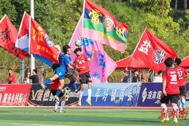 贝利1958年世界杯夺冠球衣即将拍卖引发收藏热潮